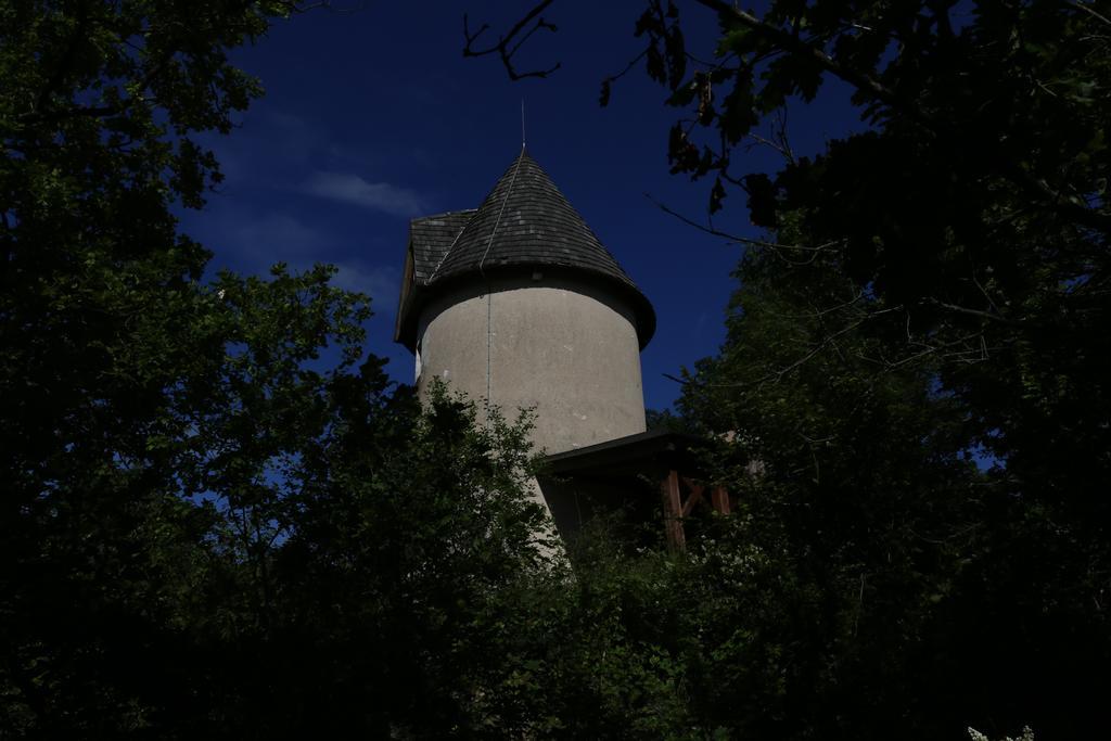 Moulin De Rouze Villa Castelnaud-de-Gratecambe Oda fotoğraf