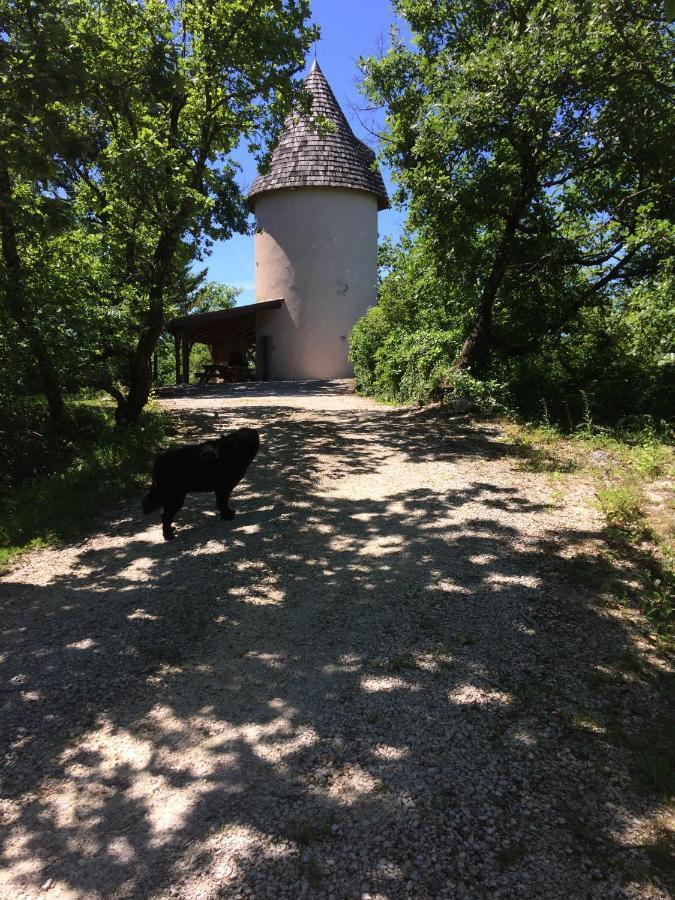 Moulin De Rouze Villa Castelnaud-de-Gratecambe Dış mekan fotoğraf
